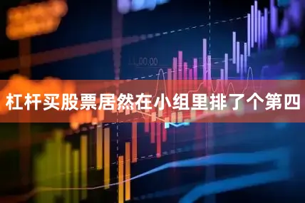 杠杆买股票居然在小组里排了个第四
