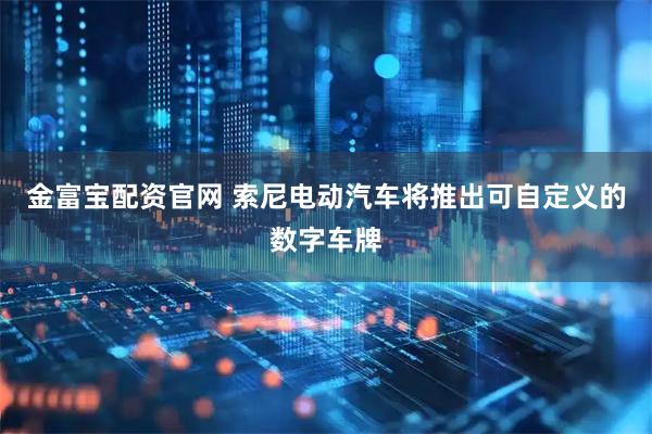 金富宝配资官网 索尼电动汽车将推出可自定义的数字车牌
