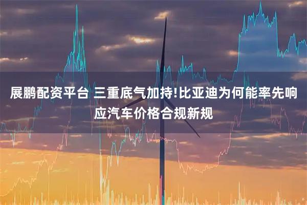 展鹏配资平台 三重底气加持!比亚迪为何能率先响应汽车价格合规新规