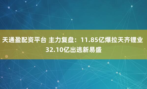 天通盈配资平台 主力复盘：11.85亿爆拉天齐锂业 32.10亿出逃新易盛