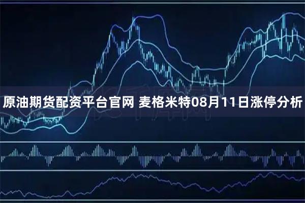 原油期货配资平台官网 麦格米特08月11日涨停分析