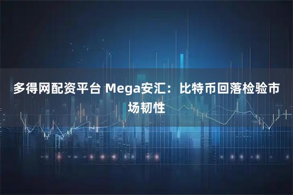 多得网配资平台 Mega安汇：比特币回落检验市场韧性