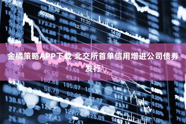 金橘策略APP下载 北交所首单信用增进公司债券发行